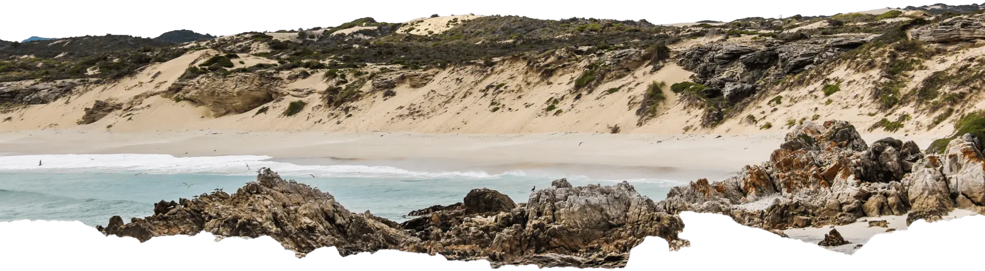 Sandy beach with azure waters along the picturesque coast of New Zealand.